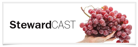 stewardcast